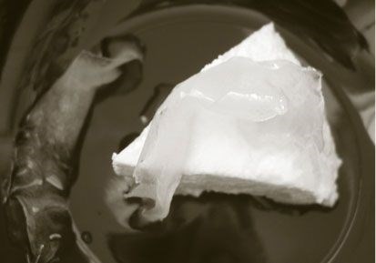 Fresh milk cheese (Cuajada)