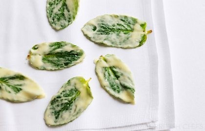 Fresh mint in white chocolate
