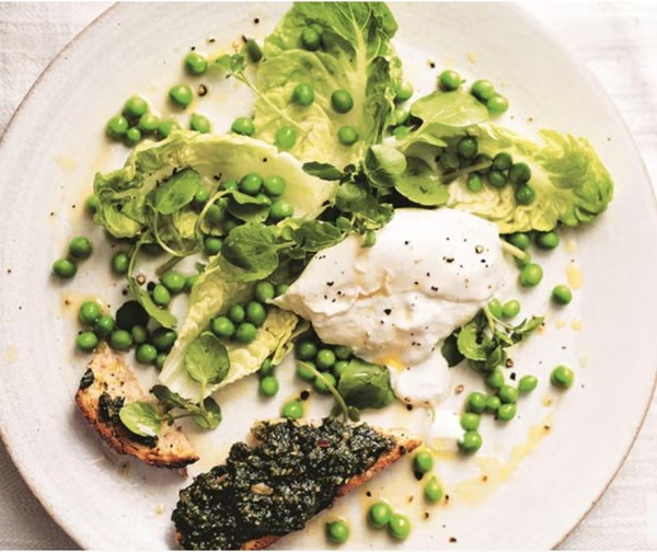 Fresh pea and burrata salad, with sunflower-seed crostini (Insalata di piselli freschi e burrata)