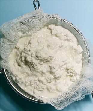 Fresh ricotta cheese