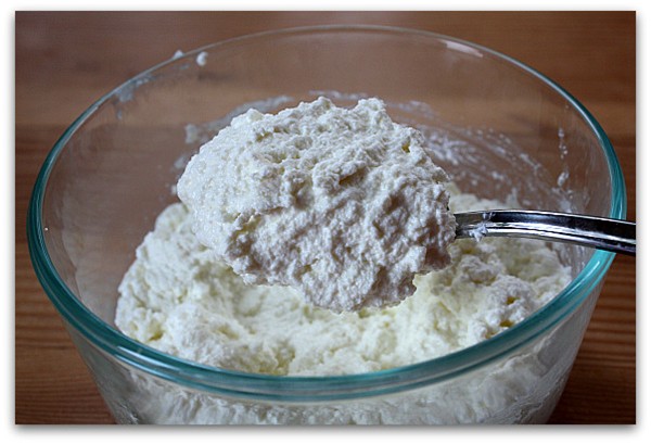 Fresh ricotta cheese