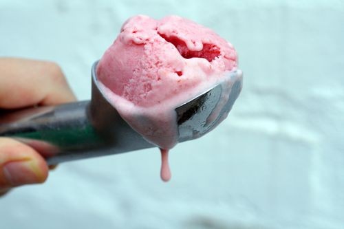 Fresh strawberry gelato