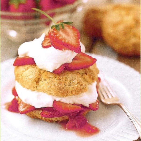 Fresh strawberry shortcake