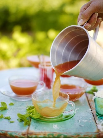 Fresh tomato broth