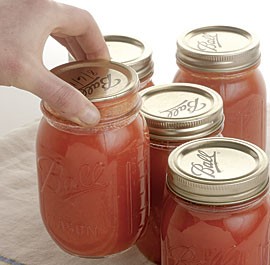 Fresh tomato soup