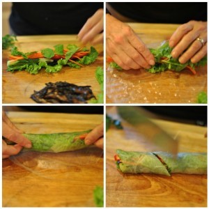 Fresh vegetable spring rolls
