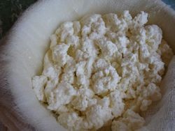 Fresh whole-milk soft cheese
