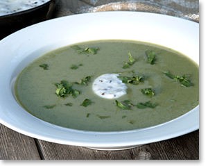 Fresh zucchini soup with cilantro, lime and spiced yogurt (raita)