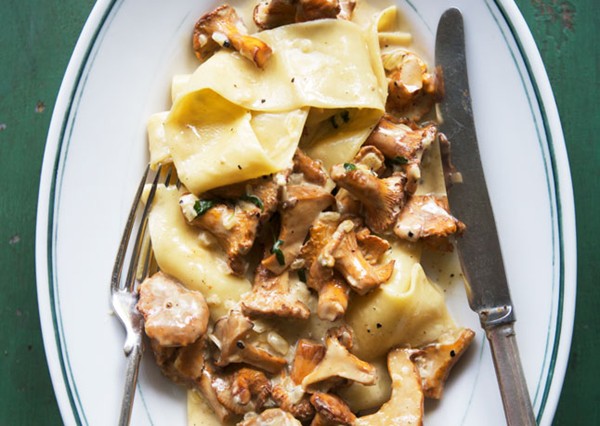 Fricassee of chanterelles