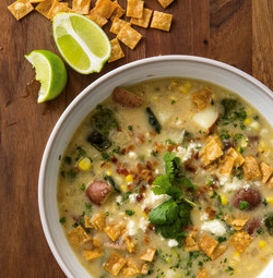 Fried corn tortilla pieces