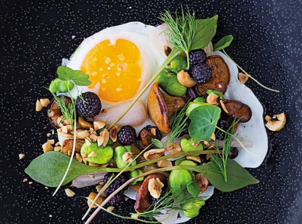 Fried egg with hazelnuts, chanterelles, green garlic, and blackberries