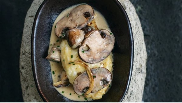 Fried kina with creamed button mushrooms