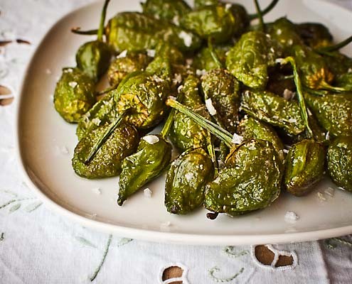 Fried Padrón peppers