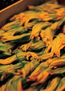Fried zucchini flowers (Fiori di zucca fritti)