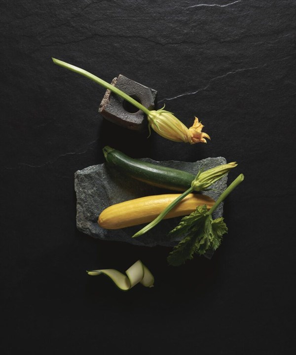 Fried zucchini with almonds & mint on avocado tarragon crema