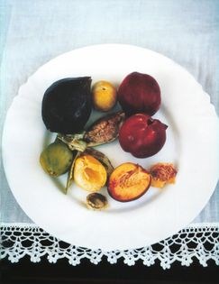 Friulian pastry with rum-soaked fruit and nuts (Presniz)