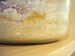 From-scratch sourdough starter