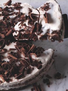 Fromage frais and dark chocolate ice cream cake