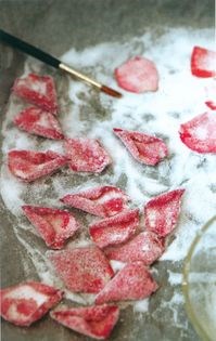 Frosted rose petals