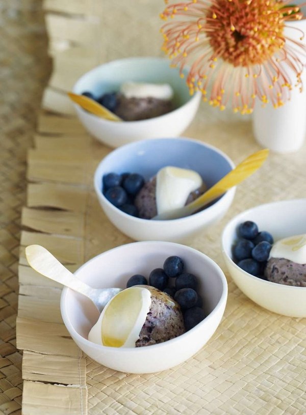 Frozen blueberry yoghurt