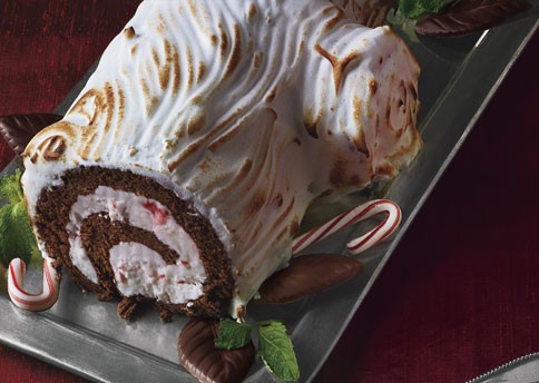 Frozen chocolate-peppermint bûche de Noël