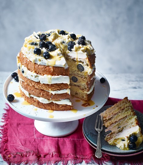 Frozen lemon and blueberry mousse cake