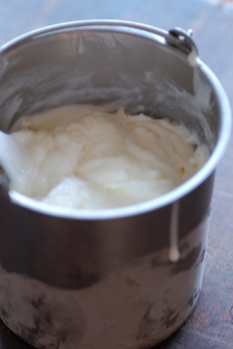 Frozen natural yoghurt