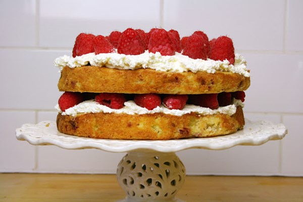 Frozen raspberry cake