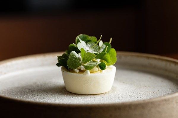 Frozen yoghurt, pine, wood sorrel