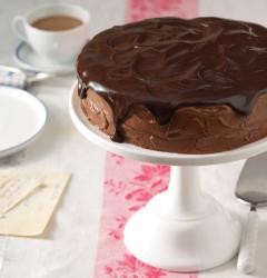 Fudge cake