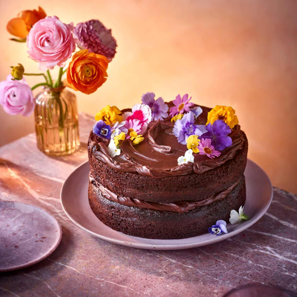 Fudgy chocolate cake