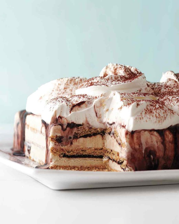 Fudgy ice cream cake