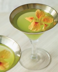 Garden elixir