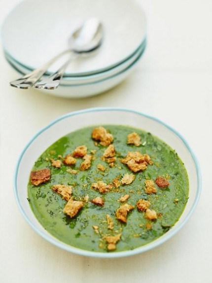 Garden glut soup