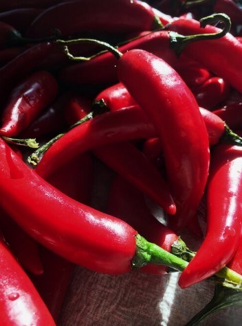 Garlic chile sacue
