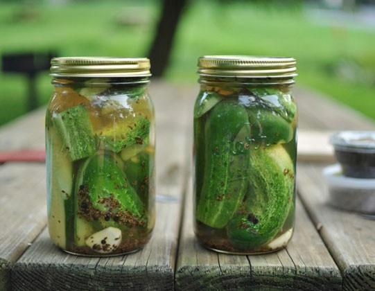Garlic dill refrigerator pickles