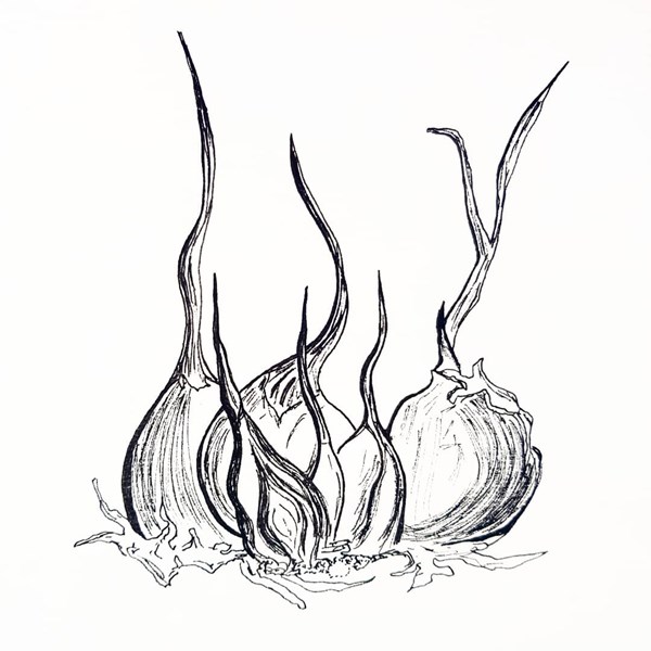 Garlic paste