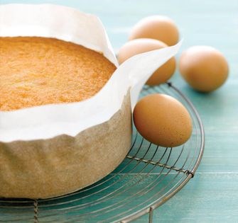 Genoise sponge