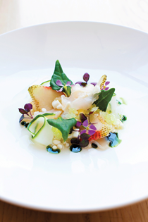 Geoduck with cucumber granita, tapioca, green strawberries, horseradish & clam dashi