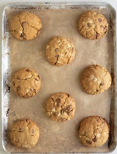 Giant chocolate chip cookies