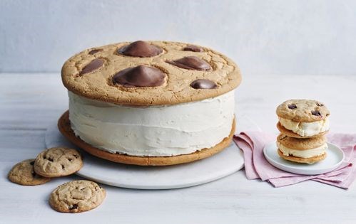 Giant ice cream sandwich