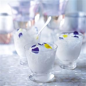 Gin and tonic granita