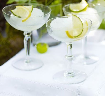 Gin and tonic sorbet