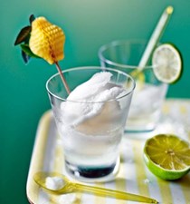 Gin and tonic sorbet with lime
