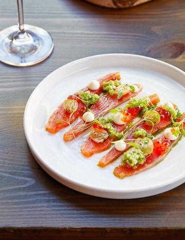 Gin-cured trout with yogurt purée and cucumber salsa