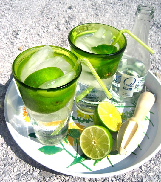 Gin rickey