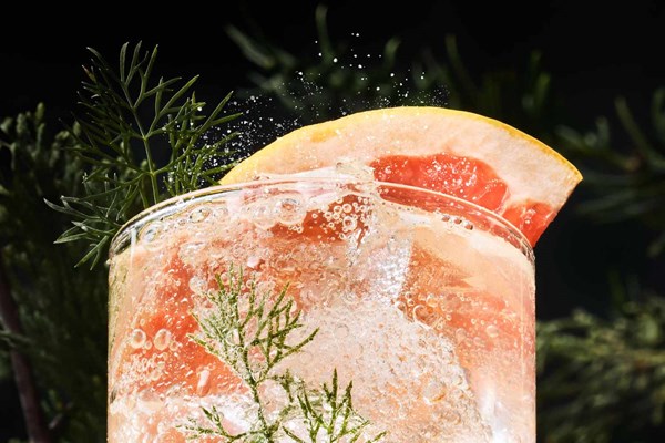 Gin sonic [Sondre Kasin]