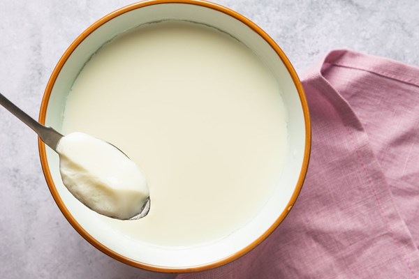 Ginger milk pudding (姜汁撞奶) 