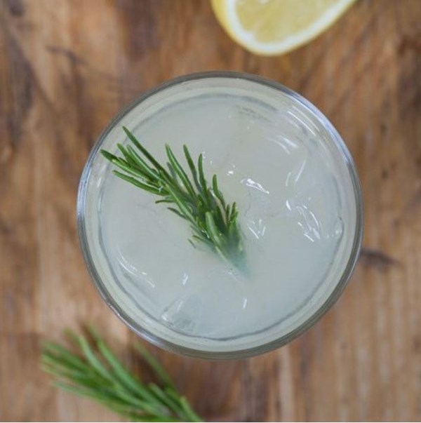 Ginger rosemary Tom Collins