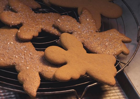 Gingerbread angels